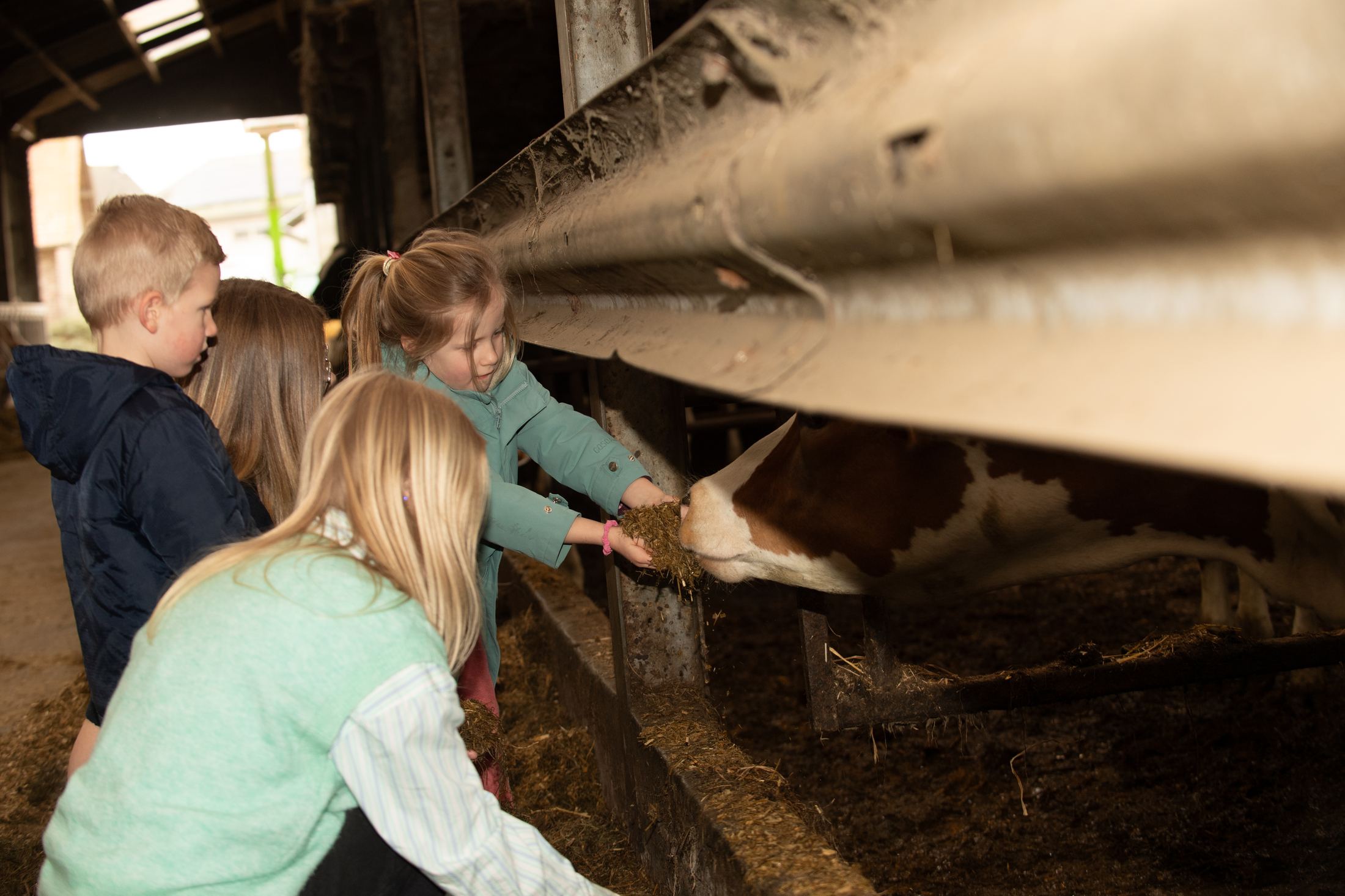 Met de klas de boer op 3
