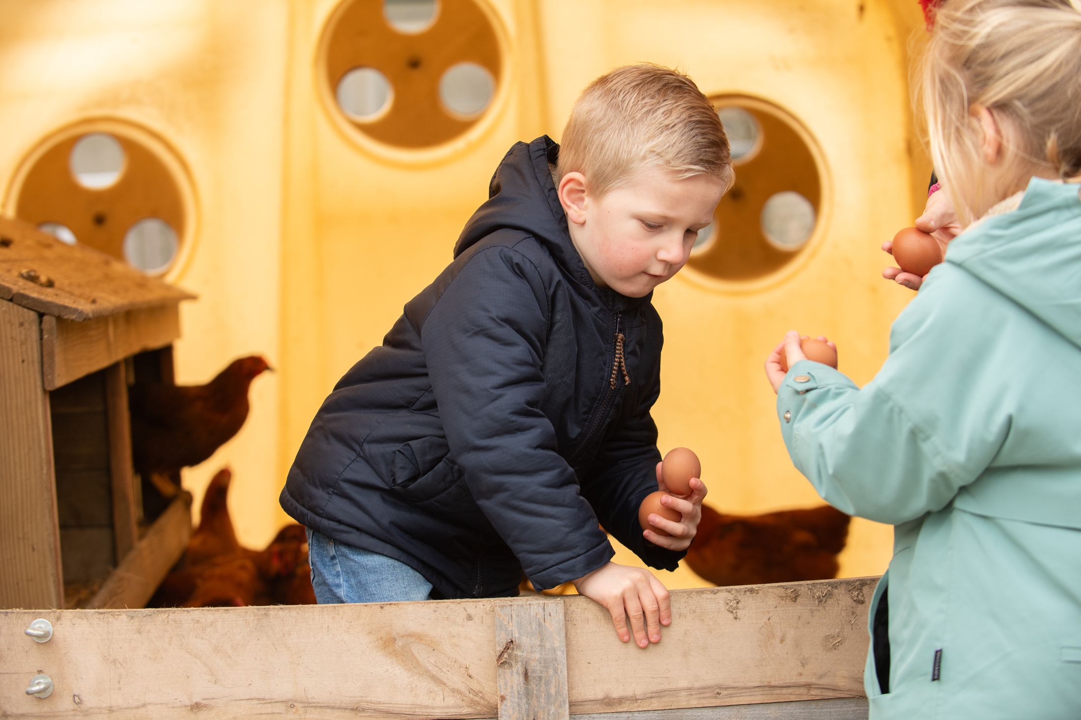 Met de klas de boer op 2